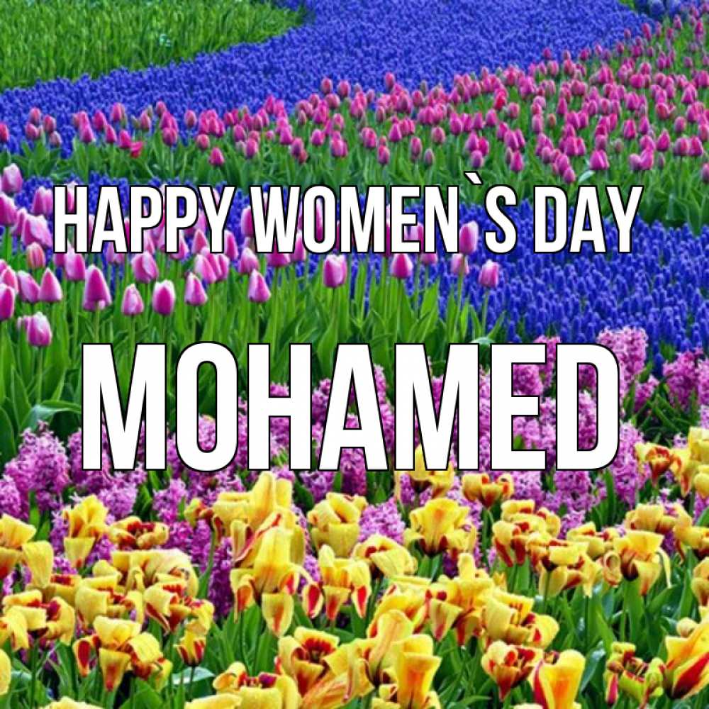 Greetings card с именем, Mohamed happy women`s day цветы Greetings with text for free download 
